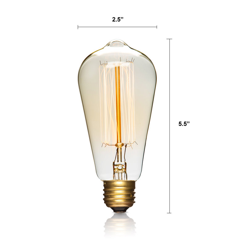 LightLady Studio 60 Watt, ST64 Incandescent, Dimmable Light Bulb, Warm